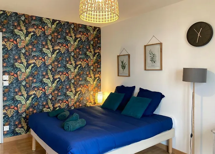 Lumineux Studio 30m² Sur Cour - Proche Tram/centre Appartement *